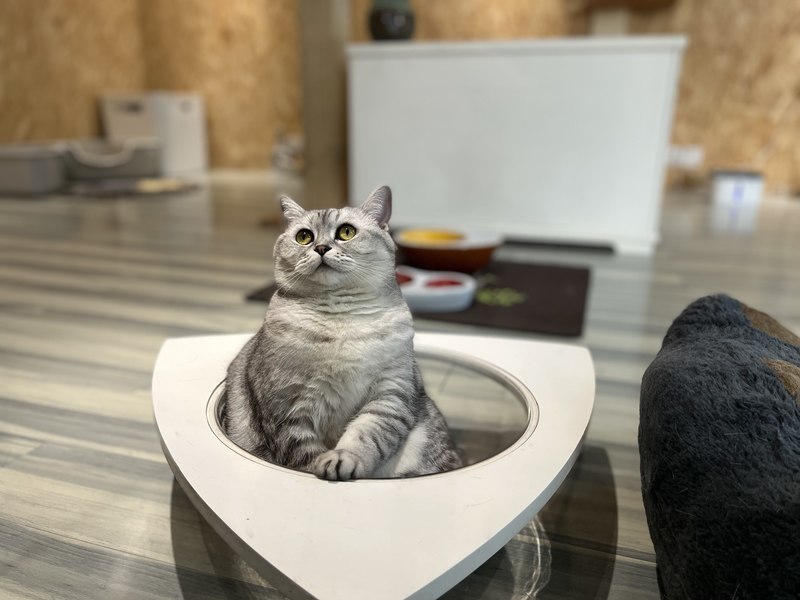 社会责任