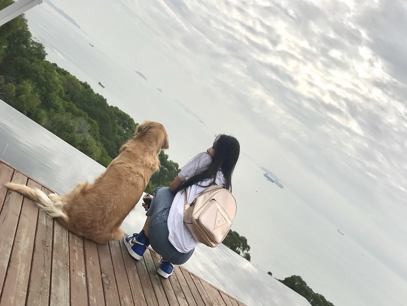 社会责任