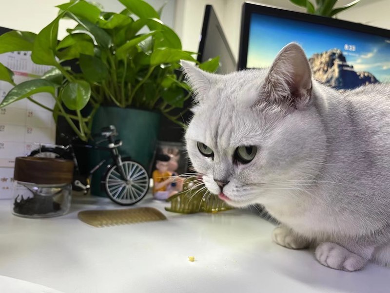 社会责任