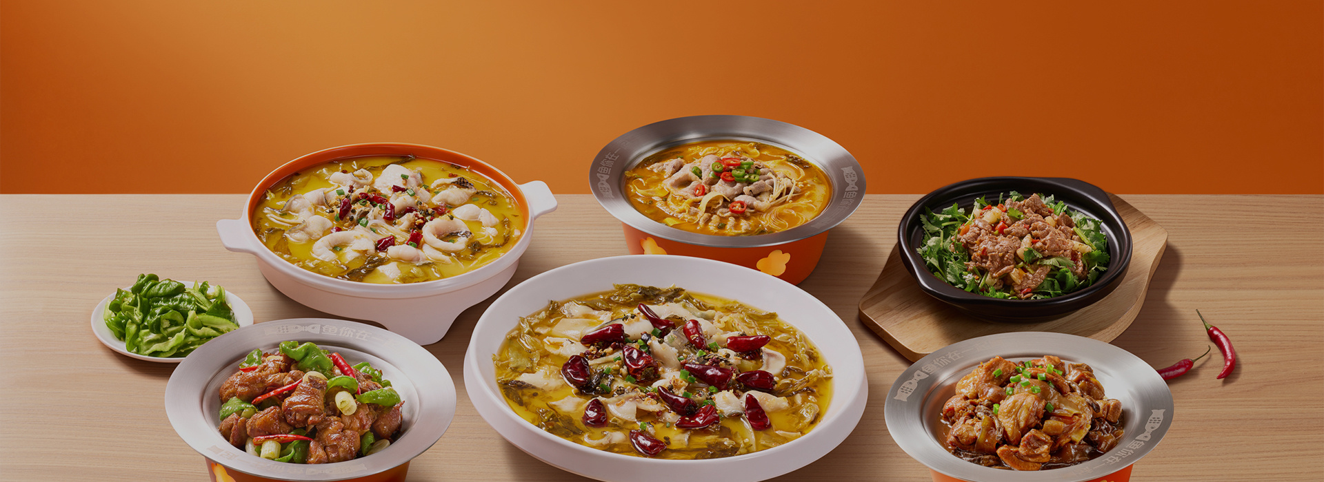 DISH DISPLAY