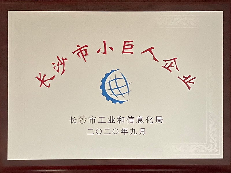 2020年 長沙市工業(yè)和信息化類小巨人企業(yè)