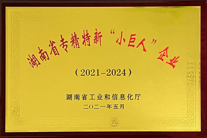 2021年 湖南省专精特新“小巨人”企业