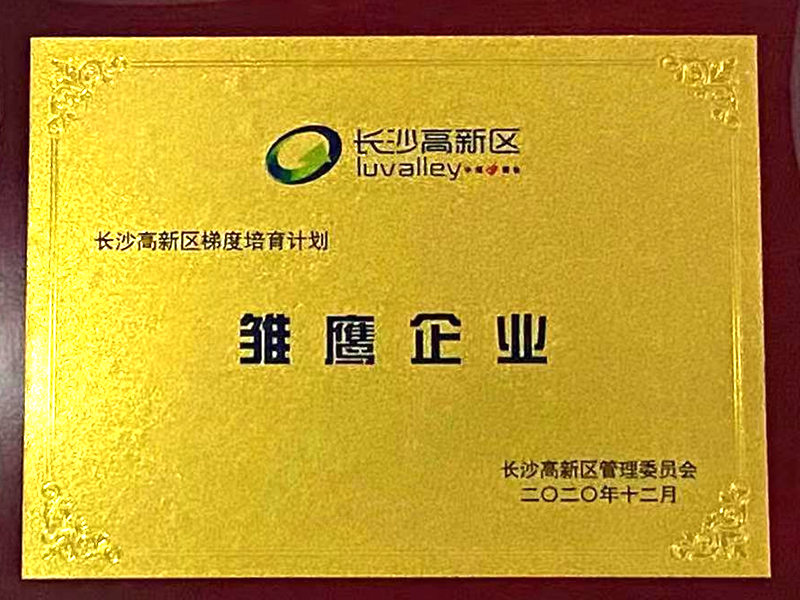 2020年 長沙高新區(qū)雛鷹企業(yè)