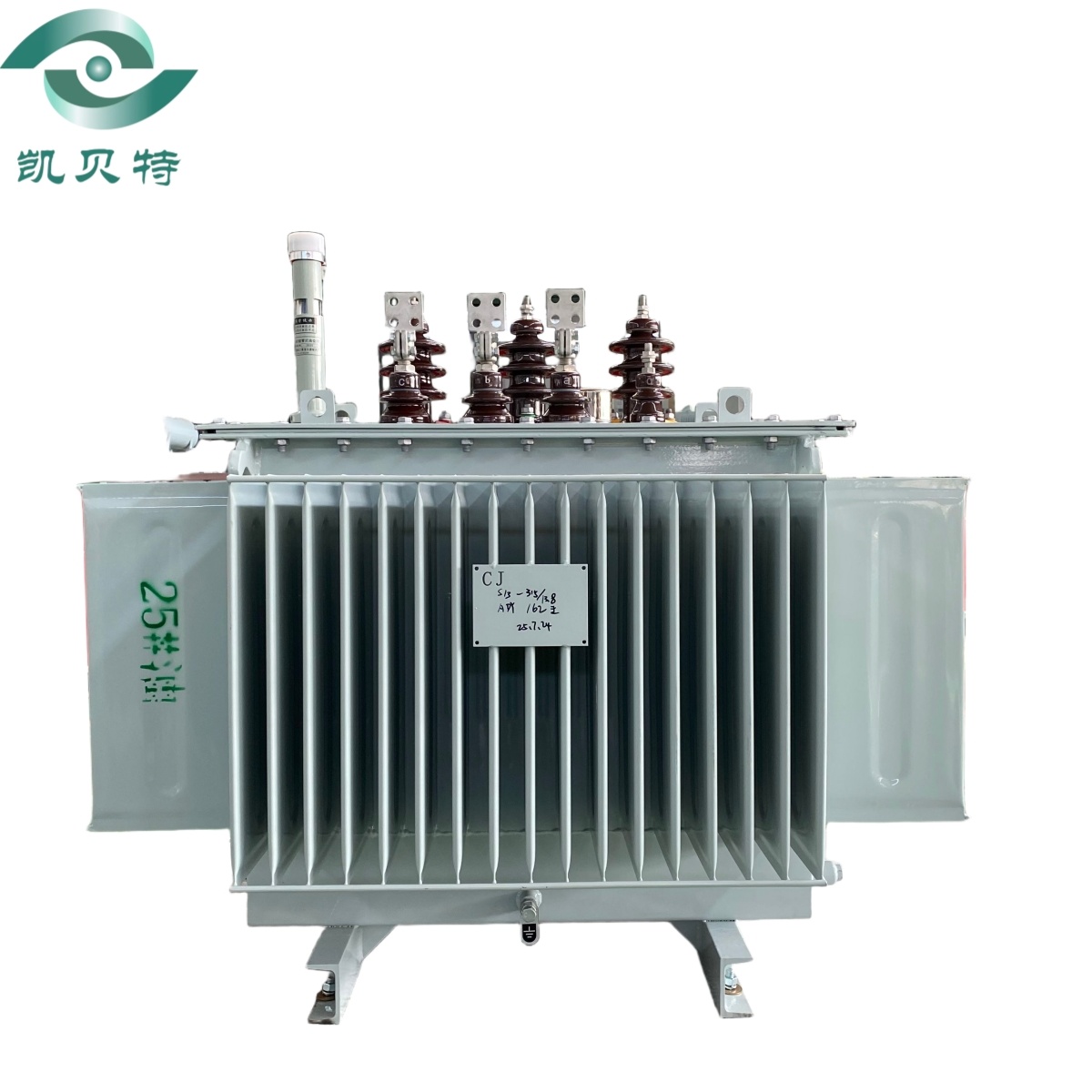 13.2kV/13.8kV oil-immersed transformer