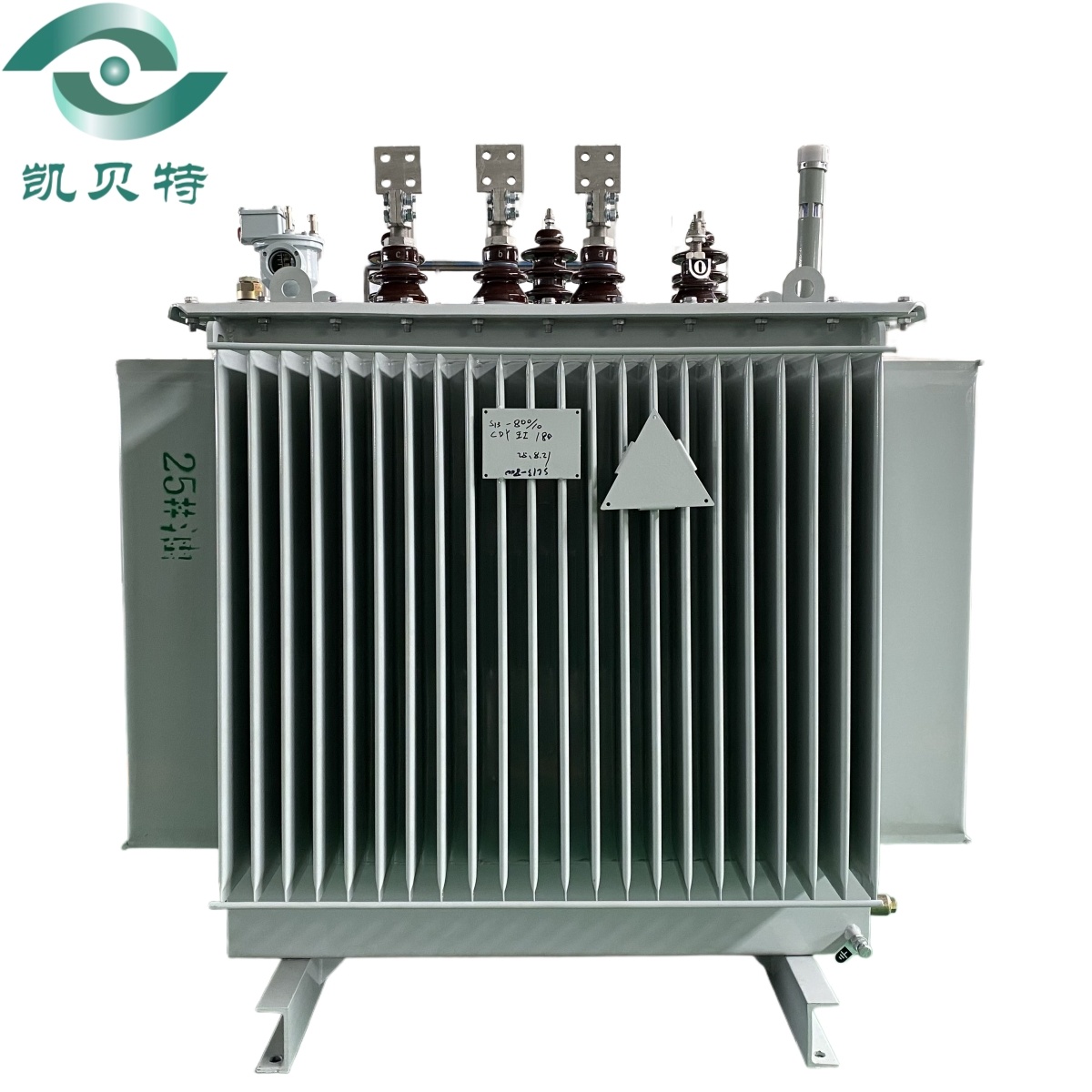 10kV 800kVA Oil Immersed Transformer