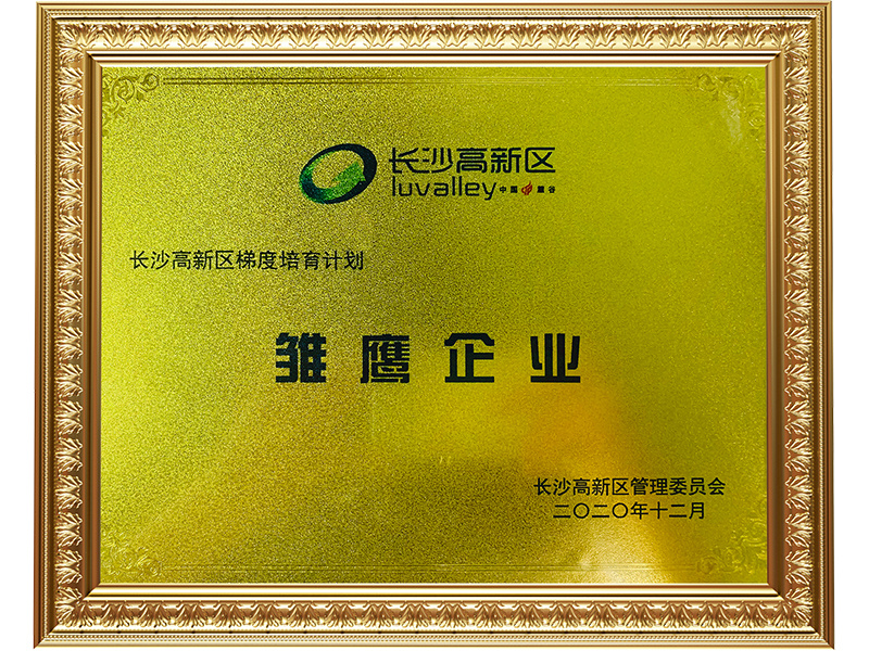 雛鷹企業(yè)