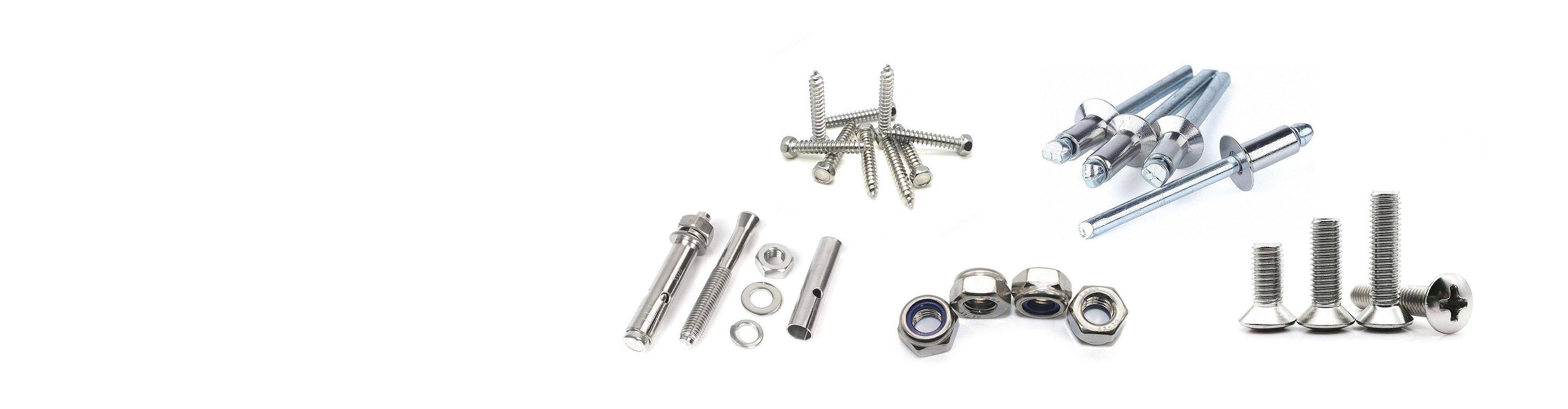 Our Products