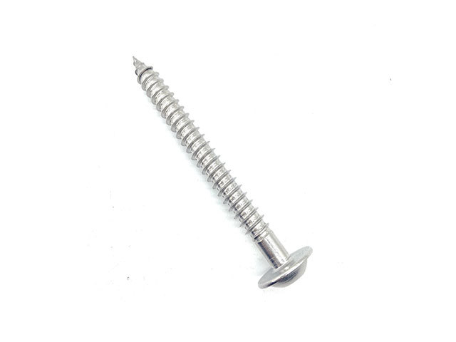 Self Tapping Screw