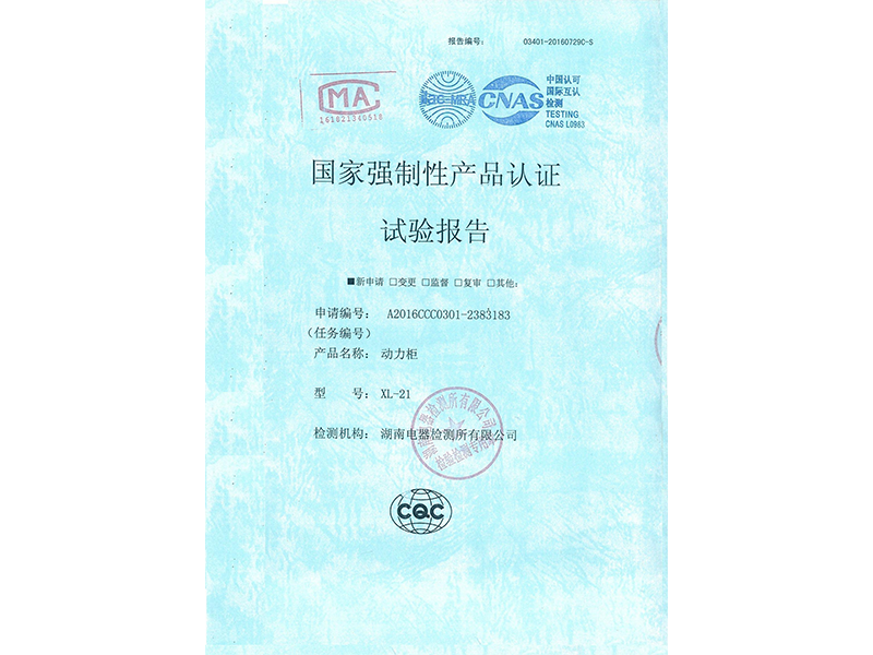 Test Report
