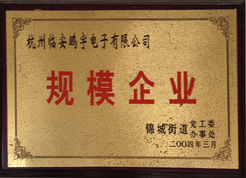 規(guī)模企業(yè)
