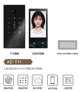 XZ-T11