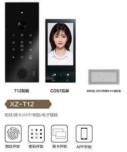 XZ-T12