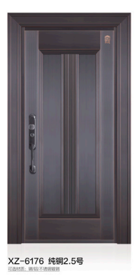 XZ-6176 純銅2.5號