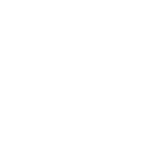 非標(biāo)定制大門(mén)