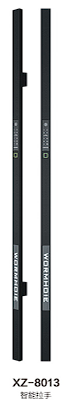 XZ-8013