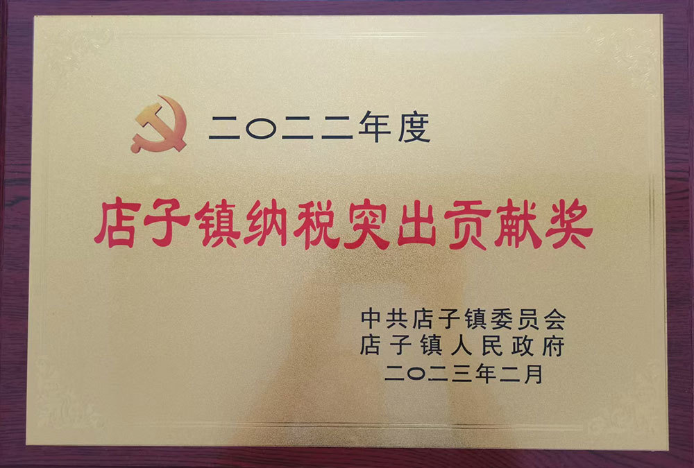 纳税突出贡献奖