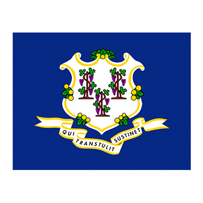 Connecticut State Flag