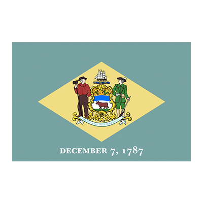 Delaware State Flag