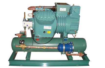 Air Cooled Bitzer Condensing Units & Evaporators For Peru Company