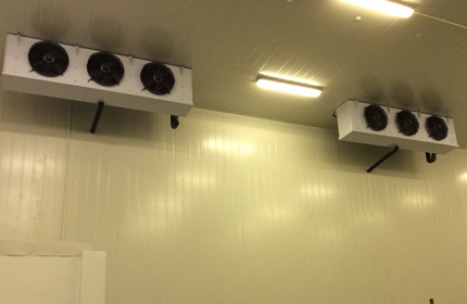 Meat cold storage and freezer storage in Romania