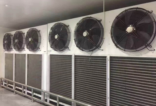 Notes for Design of Large-scale Cold Storage