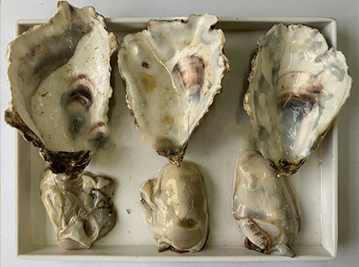 海鲜脱壳 海鲜脱壳