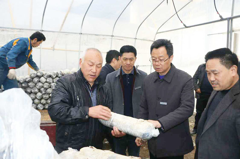國樺農林