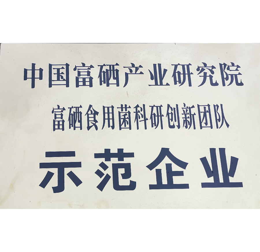 科技創(chuàng)新示范企業(yè)