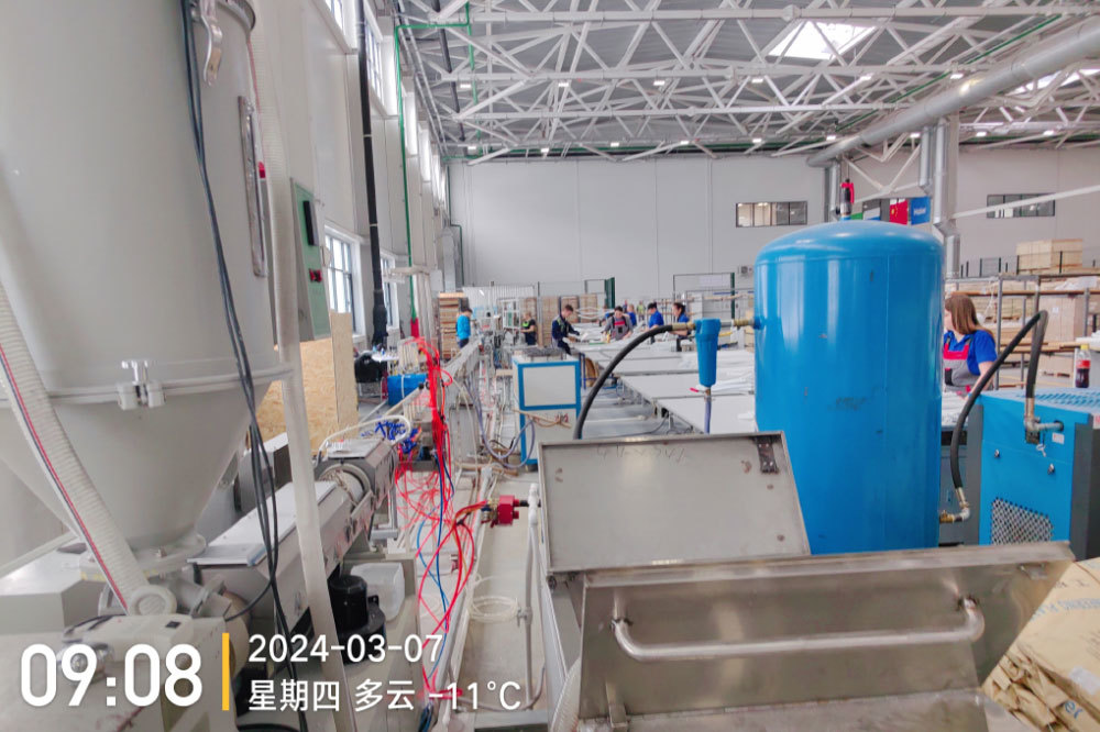 Ruso plant6