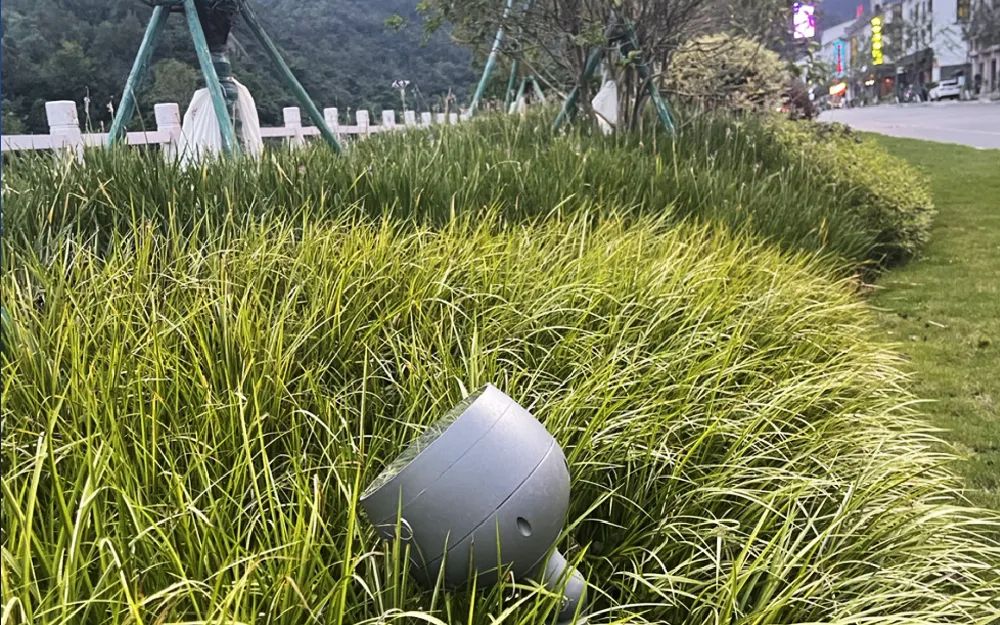 雁蕩山雁蕩鎮(zhèn)