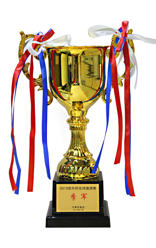 2019昱升杯足球邀请赛 2019昱升杯足球邀请赛