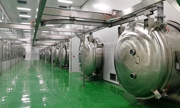 Vacuum Freeze Drying Equipment