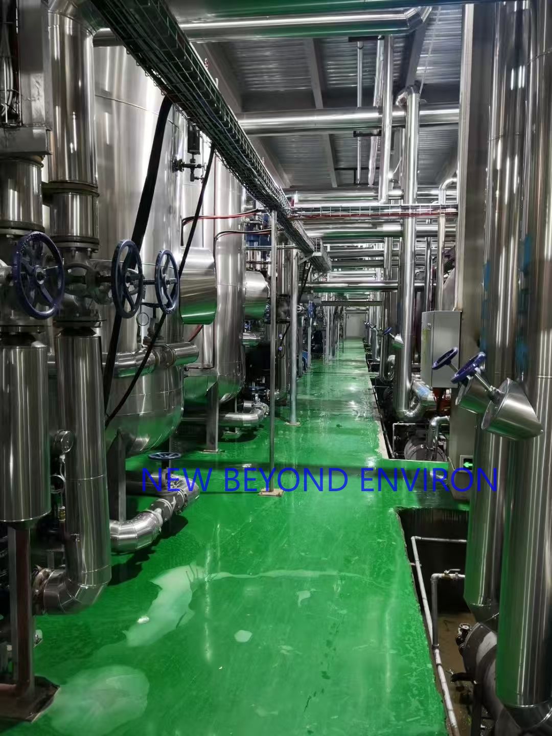 Fruit and vegetable vacuum freeze-drying project