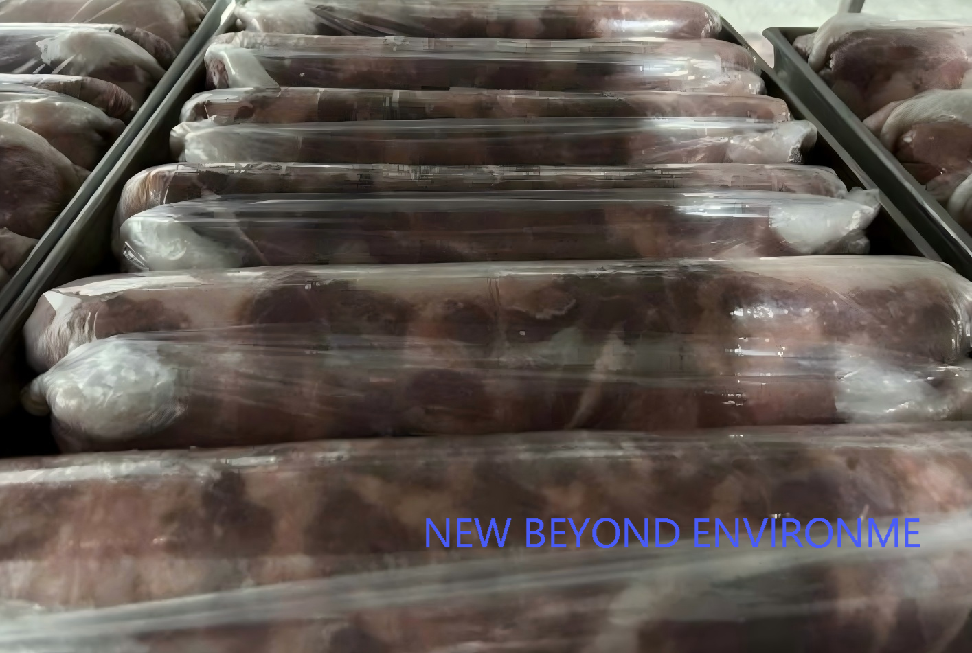 Shandong Baisheng Cold Storage Project