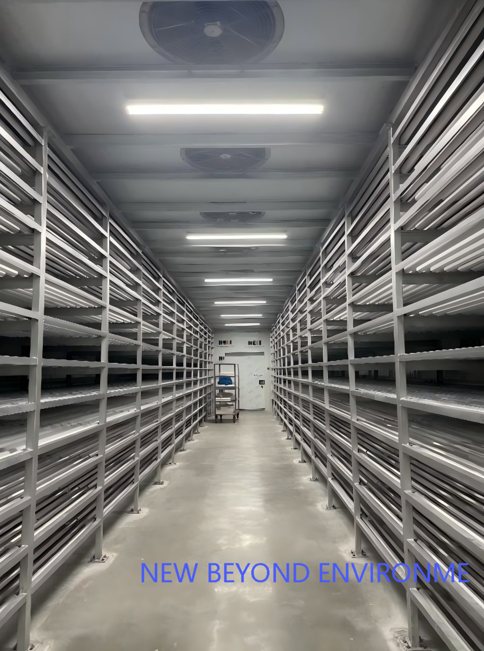 Shandong Baisheng Cold Storage Project