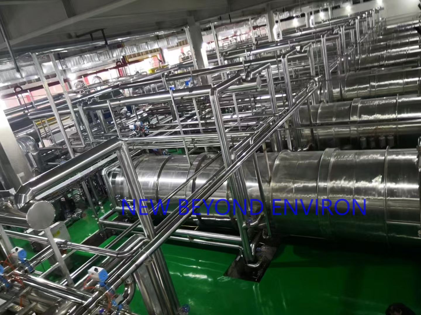 Fruit and vegetable vacuum freeze-drying project