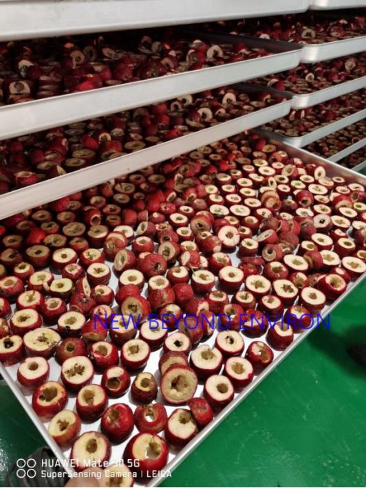 Fruit and vegetable vacuum freeze-drying project