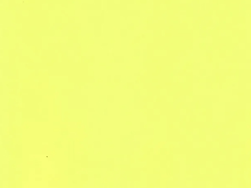 P111 Monochrome Series Bright Yellow