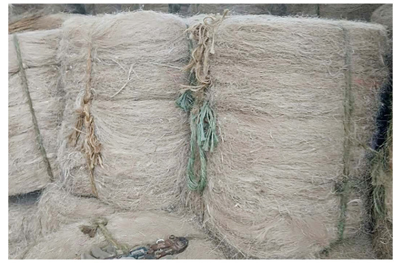 Baolixing Hemp Rope Products Co., Ltd.