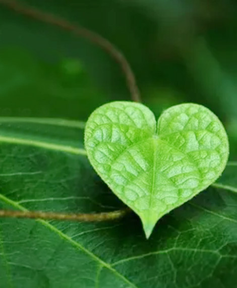 Boyuan Environmental Protection Technology