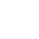Spin Spin