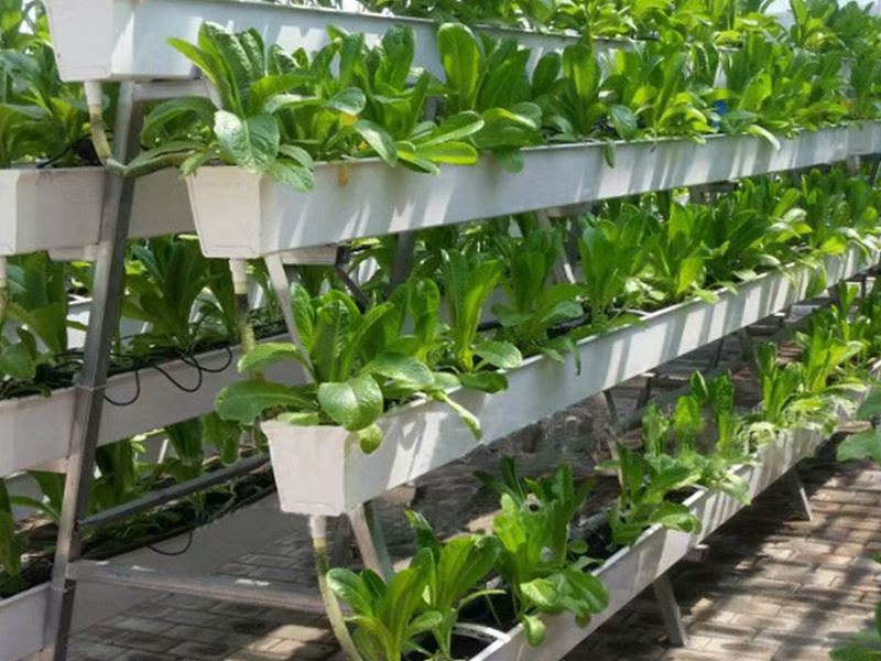 Three-dimensional hydroponic culture is a kind of soilless cultivation technology