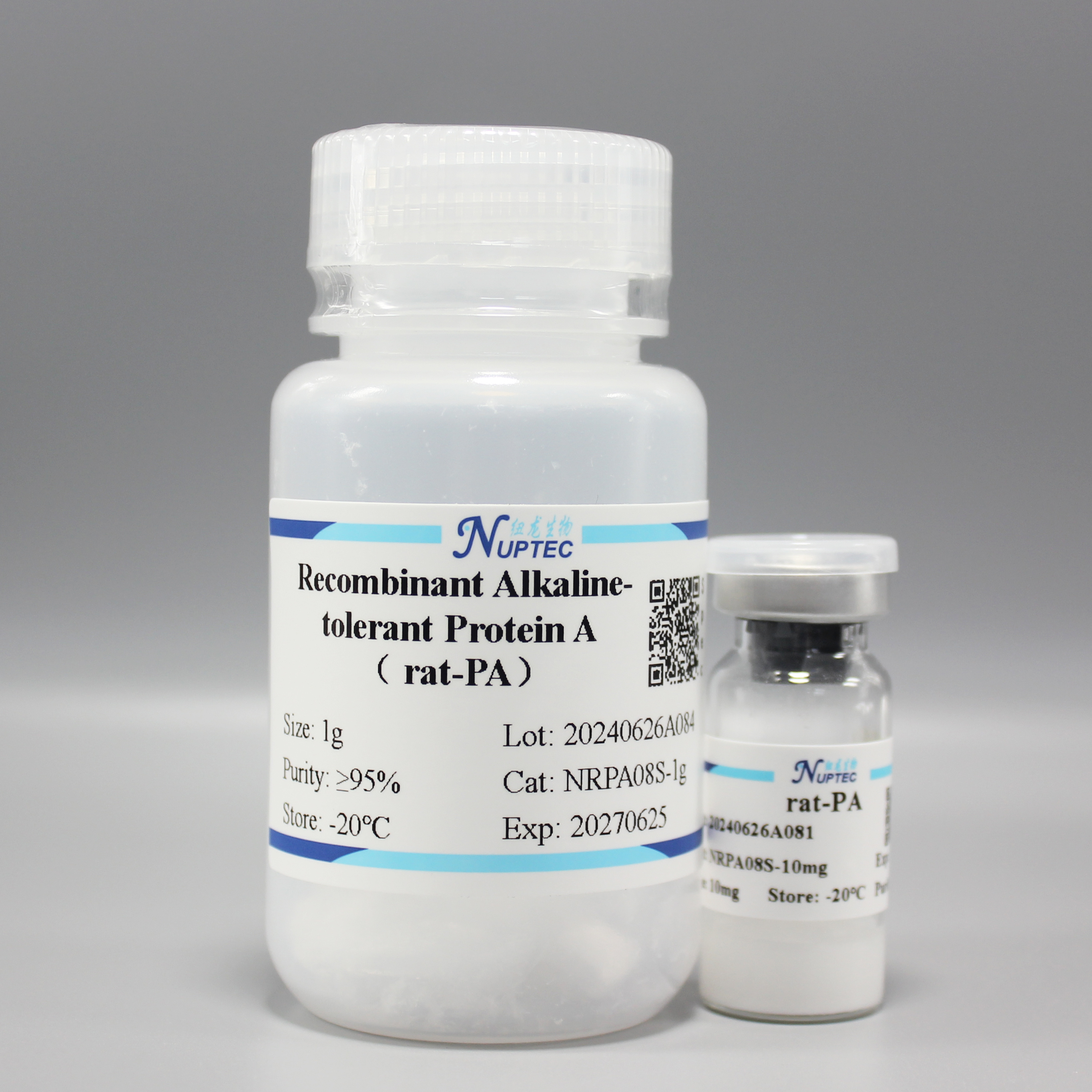 NRPA08 重组耐碱蛋白A（rat-PA）