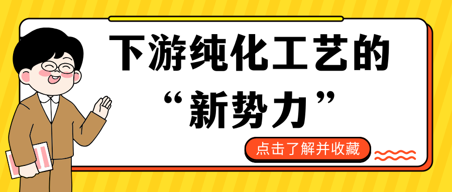 【磁性琼脂糖凝胶微球①】磁胶——重塑下游纯化工艺的“新势力”