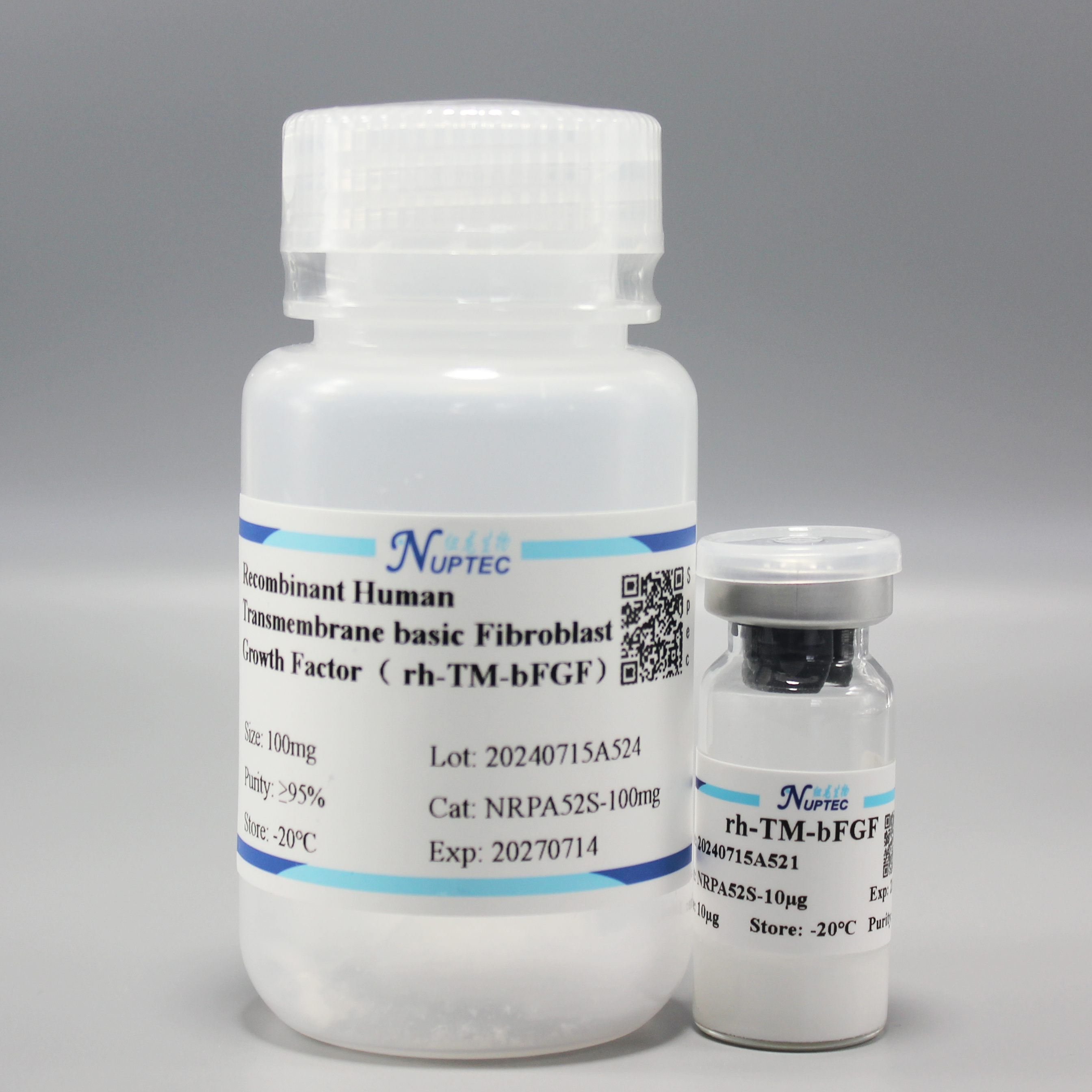 重组人穿膜肽碱性成纤维细胞生长因子（rh-TM-bFGF）