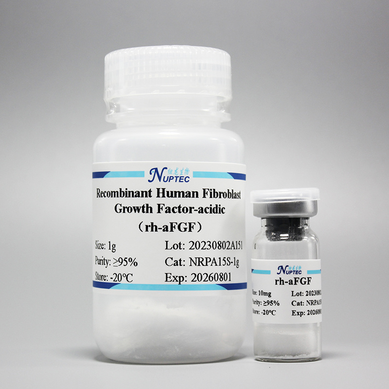 Recombinant human acidic fibroblast growth factor