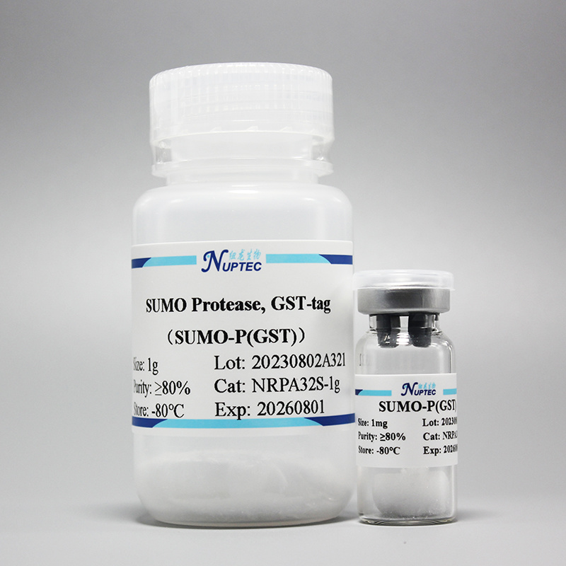 SUMO protease (GST tag)