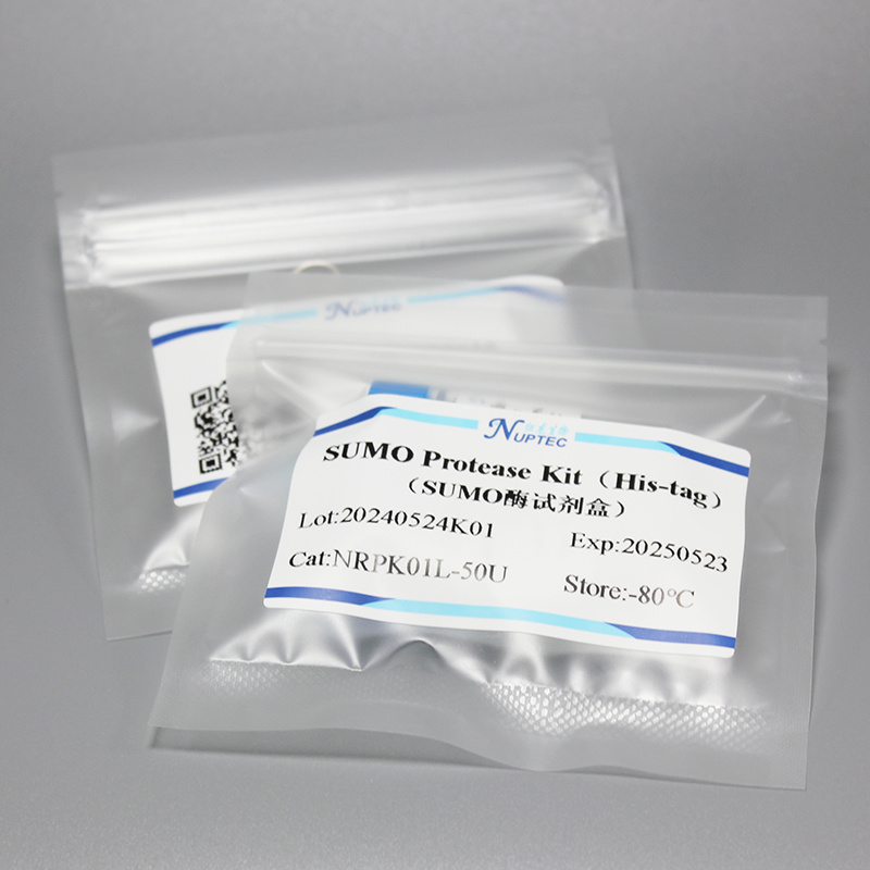 SUMO Protease Kit