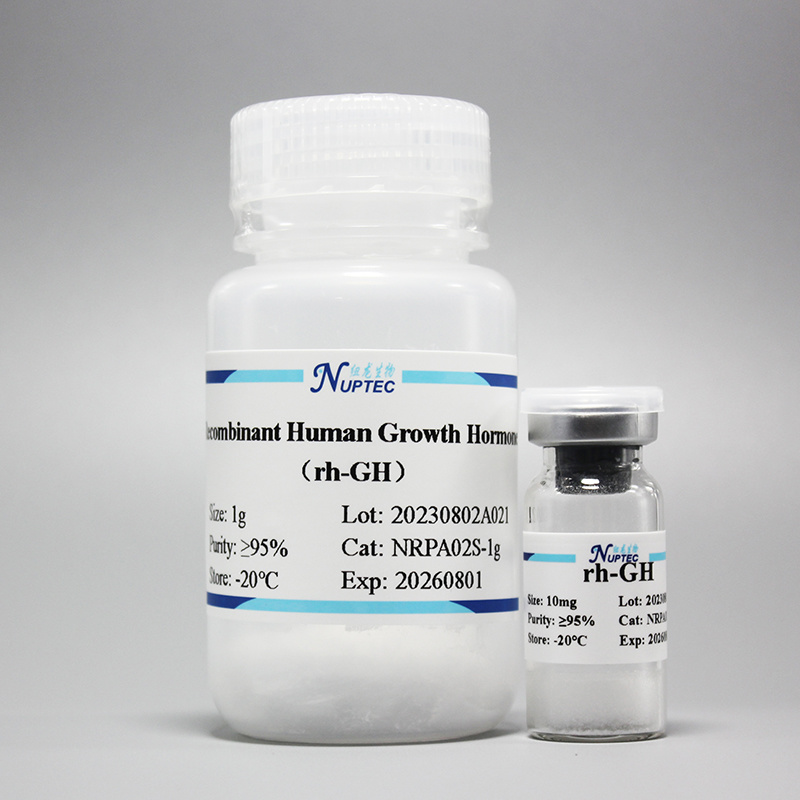 Recombinant Human Growth Hormone (rh-GH)