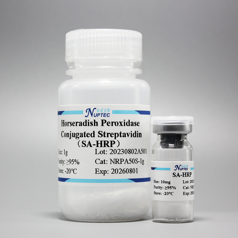 Streptavidin-based horseradish peroxidase